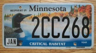 Single Reinvest In Minnesota License Plate - 2cc268 - Critical Habitat - Loon