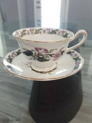 Royal Albert.  " Cotswold ".  Vintage Teacup And Saucer.  Bone China.  England