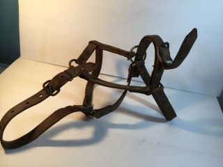 Vintage 1960s Horse Halter/bridle Brown Leather For Use Or Decor