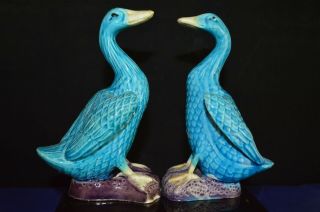 Antique Chinese Republic Period Export Turquoise Blue Duck Figurines Pair - 15.  5cm