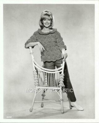 Young And Cute Shelley Fabares Orig Vintage Herman 