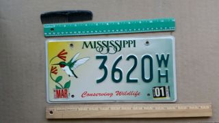 License Plate,  Mississippi,  Conserving Wildlife,  Hummingbird,  3620 Wh