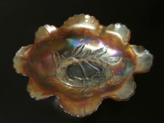 Vtg.  Carnival Glass Oval Bowl 13 " X9.  5 " Dugan Peach,  Apple,  Pear Marigold