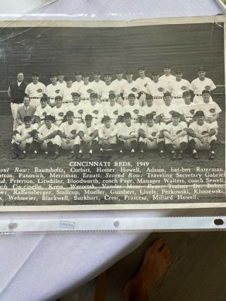 1949 Cincinnati Reds 8x10 Team Photo