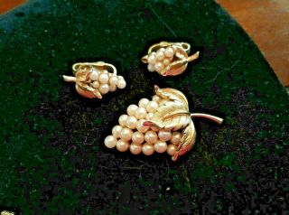 Vtg.  Crown Trifari Gold Tone Faux Pearls Grape Bunch Brooch & Clip Earrings Set