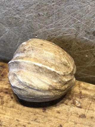 Early Vintage Stone Marble Nut Italian Alabaster Stone Carved Walnut Old Patina