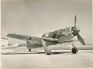 Large And Fine Photograph Of A Luftwaffe Focke - Wulf Fw - 190