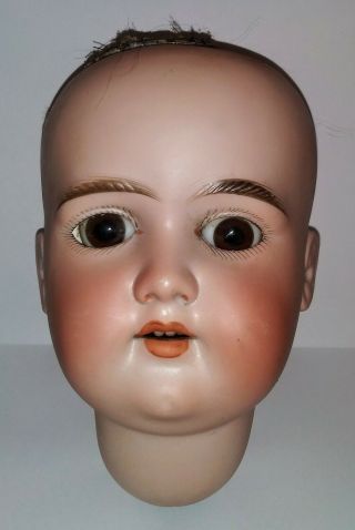 Armand Marseille Bisque Doll Head Antique Glass Eyes