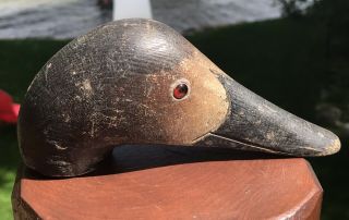 Vintage Mason Canvasback Hen Duck Decoy Head Challenge Grade Paint