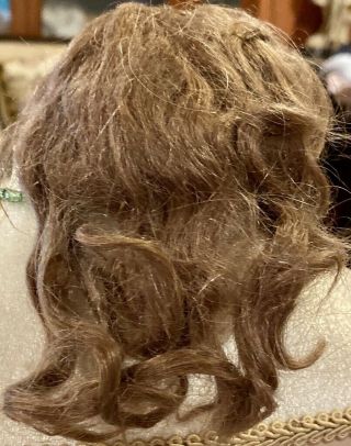 63 8 " Antique Lt Brown Mohair Doll Wig For Antique Bisque Doll