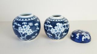 2 Antique Vintage Chinese Prunus Blossom Ginger Jars Double Blue Circle Mark