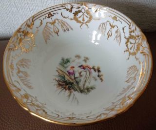 Antique 19th C English Porcelain Hand Painted Fancy Bird Bowl Coalport/ridgway?