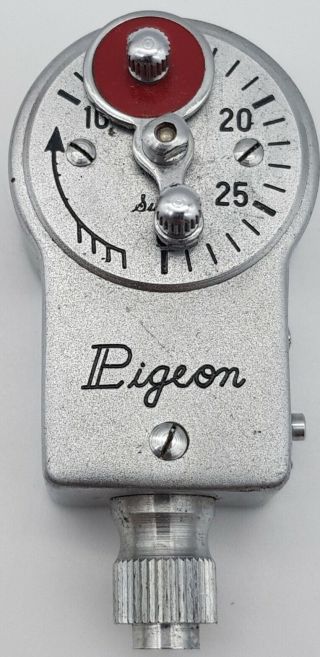 Vintage Pigeon Self Timer