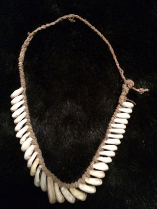 Kina Shell “currency” Necklace Sepic Tribe