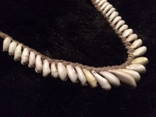KINA SHELL “CURRENCY” NECKLACE SEPIC TRIBE 2