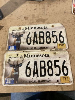 Minnesota Critical Habitat Whitetail Deer Graphic Auto License Plate
