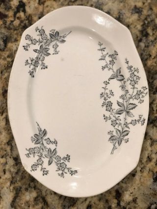 Vintage " Forget Me Not " Semi Porcelain Serving Plate S F & J Rd 121348