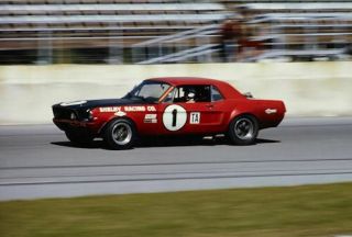 Jerry Titus 1 Shelby Racing Mustang At Daytona 8x10 Photo