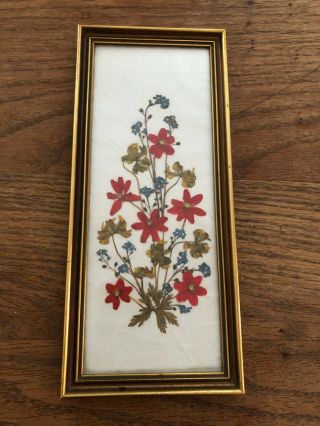 Vintage Floralp Tyrol Austria Dried Pressed Flowers - Framed