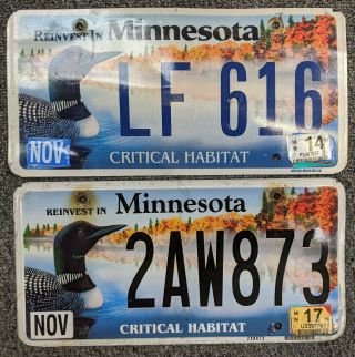 Minnesota License Plate Critical Habitat Loon Pair