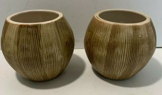 2 Coconut Tiki Mug Orchids Of Hawaii R - 13 Vintage Ceramic Japan