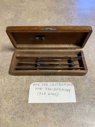 Vintage Taxidermy Instruments Kit