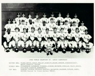 1964 World Champion St.  Louis Cardinals 8x10 Team Photo
