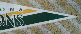 Barcelona Dragons Full Size WLAF football Pennant early 90s nfl europe 2