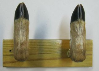 Vintage Taxidermy Deer Hoof Hook Gun,  Bow Or Coat Rack,  Wall Mount,  Rustic Decor