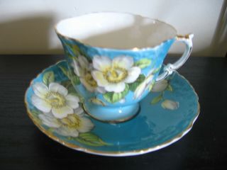 Aynsley Turquoise White Floral Textured Tea Cup And Saucer