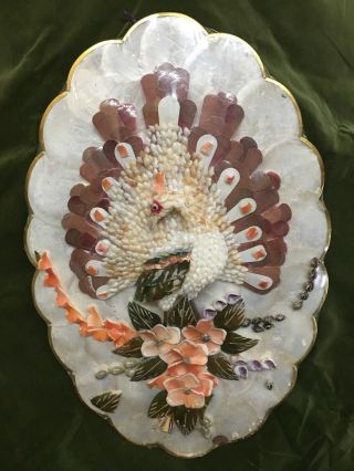 Ocean Capiz Sea Shells Vintage Handmade Peacock Wall Art