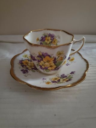Rosina Bone China Vintage Tea Cup And Saucer,  Pattern 5075