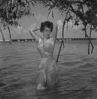 Vintage Bunny Yeager Pin - Up Camera Negative Shapely Brunette Miami Water Nymph