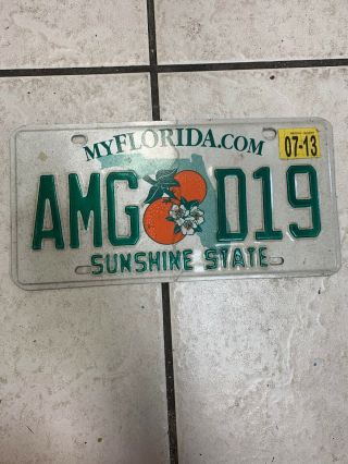 License Tag Sunshine State Florida License Plate Amg D19 Expired 07/13