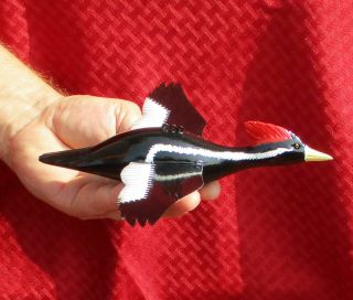 Ice Fishing Decoy Large Ivory Billed Woodpecker Hand - Carved By Phillip Cates