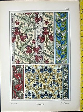 Thistle Designs,  Art Nouveau/jugendstil,  Eugene Grasset,  La Plante.  1896 60