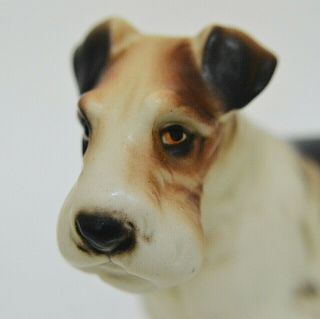 Vintage Lefton Wire Haired Fox Terrier Dog Hand Painted 1355 Japan 3.  25 