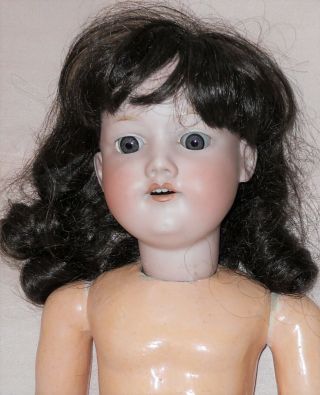 22 " Antique Armand Marseille Bisque Head Composition Body Doll Germany 390n