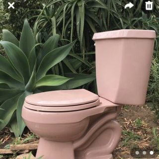 Retro Vintag Kohler Toilet Wild Rose Pink