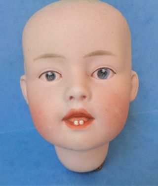 Antique German Heubach Koppelsdorf Bisque Character Baby Infant Head 3 16 33 Dep