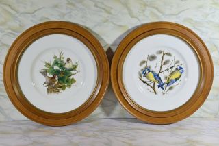 Vintage Boehm Limited Edition English Bone Porcelain Framed Bird Art Plates