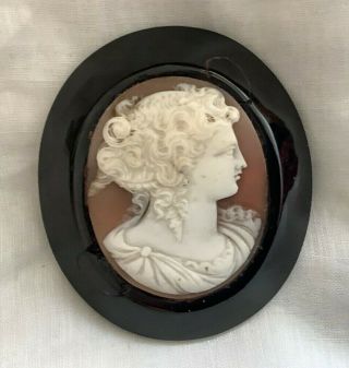 Large Antique Carved Shell Cameo Brooch / Pin / Pendant In Black Jet Frame
