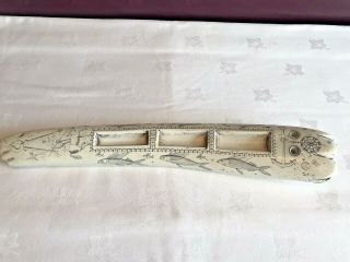 Stunning Scrimshaw Faux/resin ? Whale Tooth - Markings - Ink Pen Holder