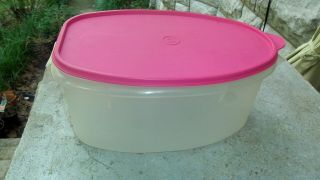 Vintage Tupperware 487 - 1 Roast / Ham / Turkey Flavor Saver W/ Lift & Pink Lid