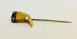 Antique Raj Animal Claw Stick Pin,  Missing A Gem 2