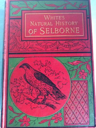 White’s The Natural History And Antiquities Of Selborne By Gilbert White 1890