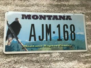 Montana License Plate Ajm 168 Montana Raptor Center Bald Eagle