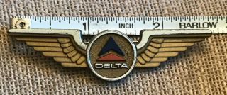 Vintage Delta Airlines Wings 3