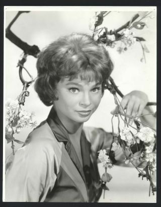 1962 Juliet Prowse Vintage Photo G.  I.  Blues Can - Can