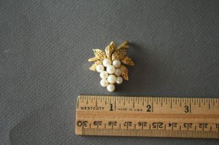Vintage Trifari Signed Faux Pearl Gold Tone Grape Cluster Pin Brooch (e - 4,  44)